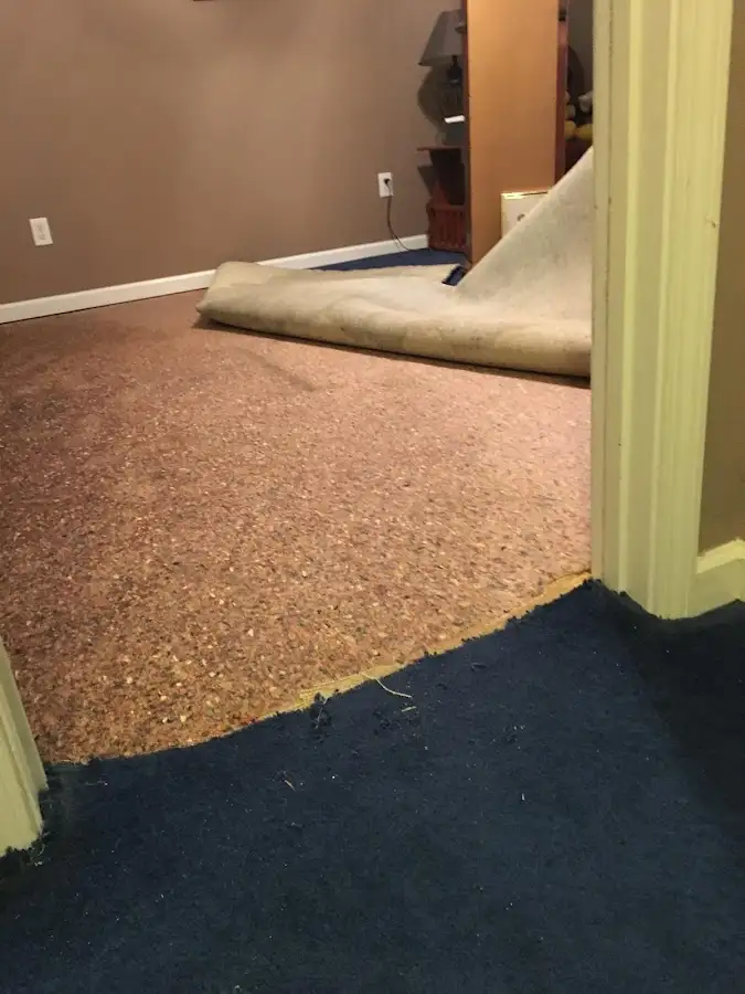 Carpet pad removal revealing water damage during Drying & Dehumidification in Morrisville