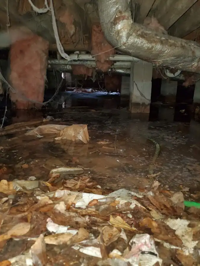 Crawl space flood assessment for Leak Detection & Repair in Morrisville